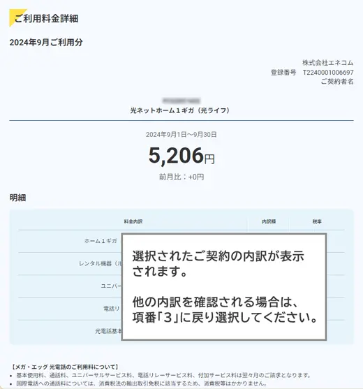 4.ご料金明細詳細が表示されます。