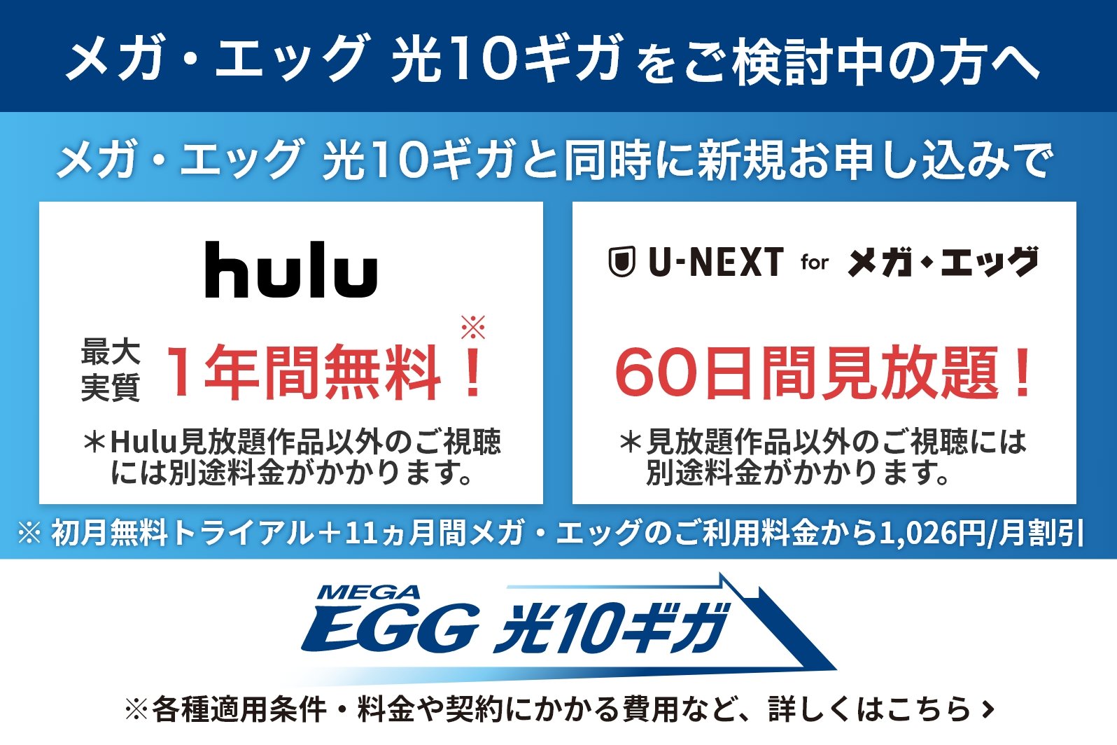 光10ギガ新規申込特典（Hulu・U-NEXT）