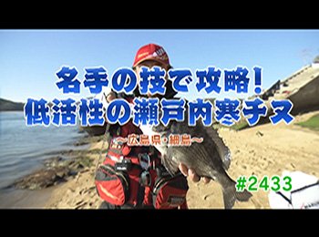 釣りごろ最新情報