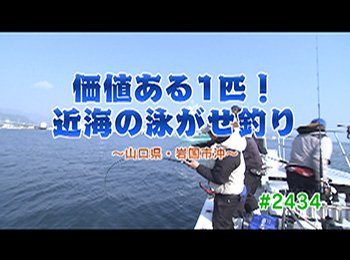 釣りごろ最新情報