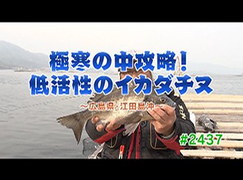 釣りごろ最新情報