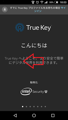 Truekeyのインストール手順 セキュリティの設定 マニュアル 光ファイバー インターネット接続サービスのメガ エッグ Mega Egg 会員サイト