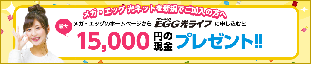 料金シミュレーション 光ファイバー インターネット接続サービスのメガ エッグ Mega Egg